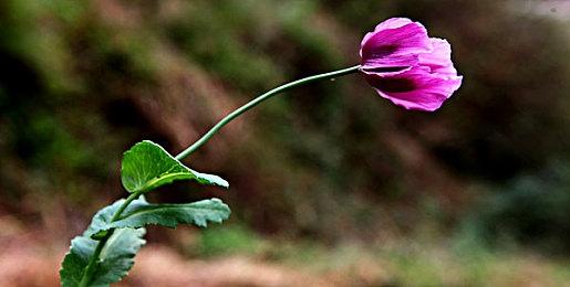 《圣塔神记》中文版预告片 实体预购特典公布